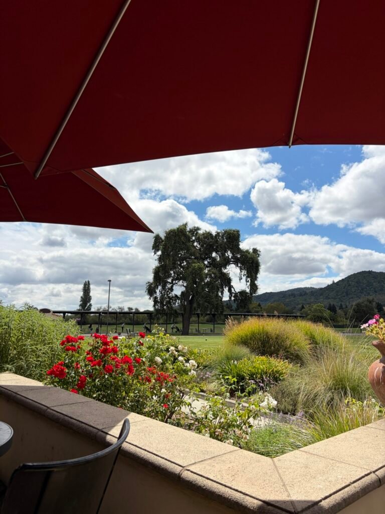 Lakeside Grill at Vintner's Golf Club: A Relaxed Lunch Spot in Napa Valley Vintner's Golf Club Lakeside Grill patio lake view